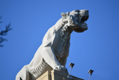 tigre_4_low